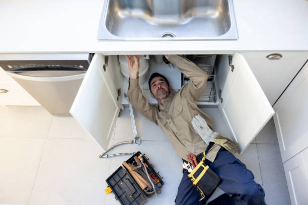 Best Clogged Drain Plumber  in La Marque, TX