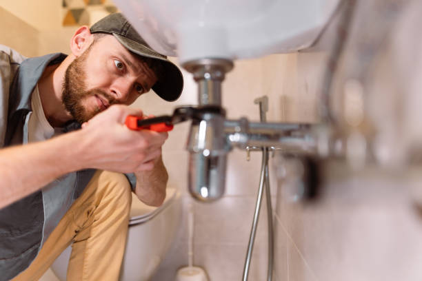 Best Sprinkler Systems  in La Marque, TX