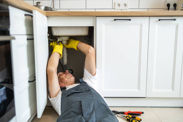 Best Plumbing Services Near Me  in La Marque, TX